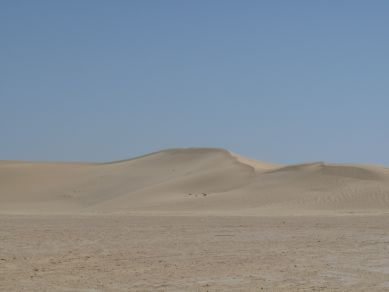 4x4 desert